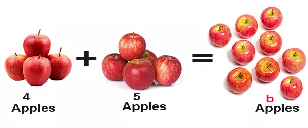 Algebra: Forming Simple Equations