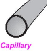 A Capillary - Science and Technology Grade 6