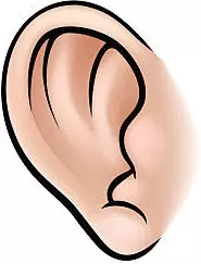 The Ear