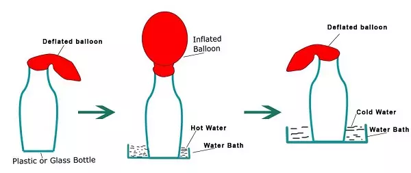 Expansion and contraction of gases - Science and Technology Grade 6