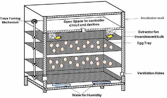 Artificial Incubator