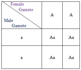 Test Cross or Back Cross - Biology Form Four