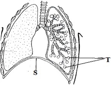 FORM 4 Biology