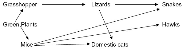 Form Four Biology