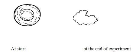 Biology Question