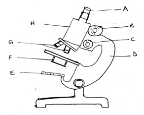 Biology Question