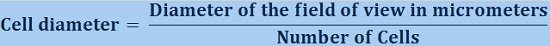 Cell Diameter Formula - Biology Form One