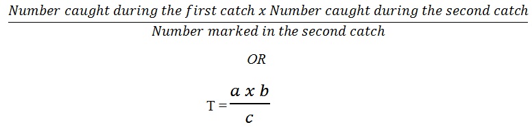 Estimating population formula - Biology Form Three