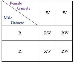 Incomplete Dominance - Biology Form Four