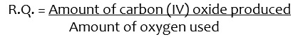 respiratory-quotient - biology Form two