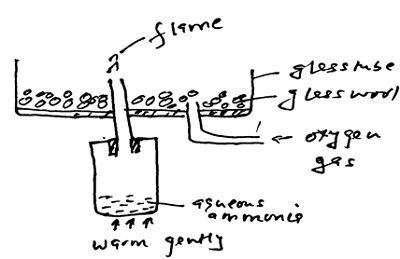 FORM 3 Chemistry