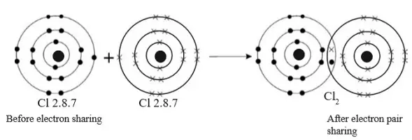 chloride molecule - Chemistry Form Two