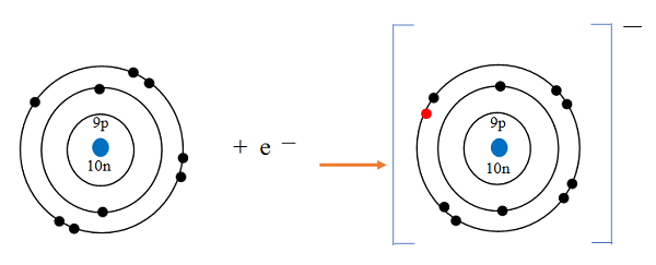 Formation of Fluoride ions - Chemistry Form Two