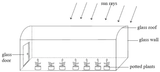 greenhouse- Chemistry Form Two