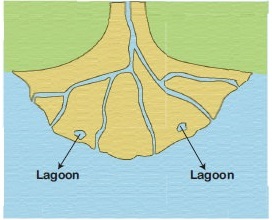 Arcuate Delta-Geo Form Three