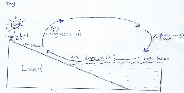 Climate Diagram Analysis