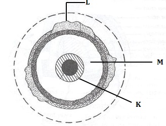 Form 4 Geography Question