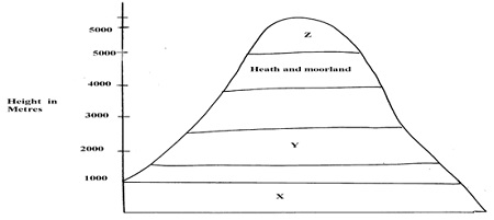 geography answer
