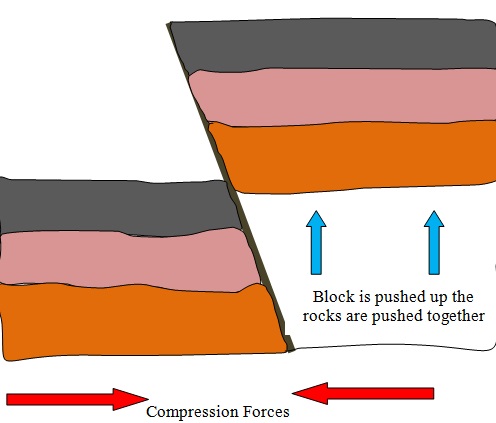 Reverse Fault - Geography Form Two