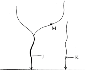 River Processes