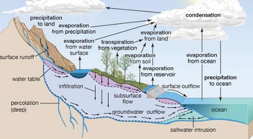 Water cycle-Geo Form Three