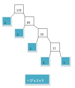 Factors using Factor Tree Method