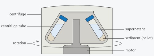 Centrifuge-phy Form Four