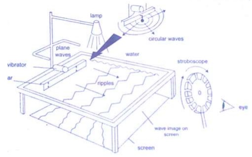 Furniture From Wood - Geography Form Two