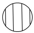 Measuring Onion Cell Size
