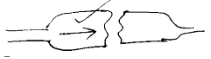 Synapse Impulse Direction and Significance